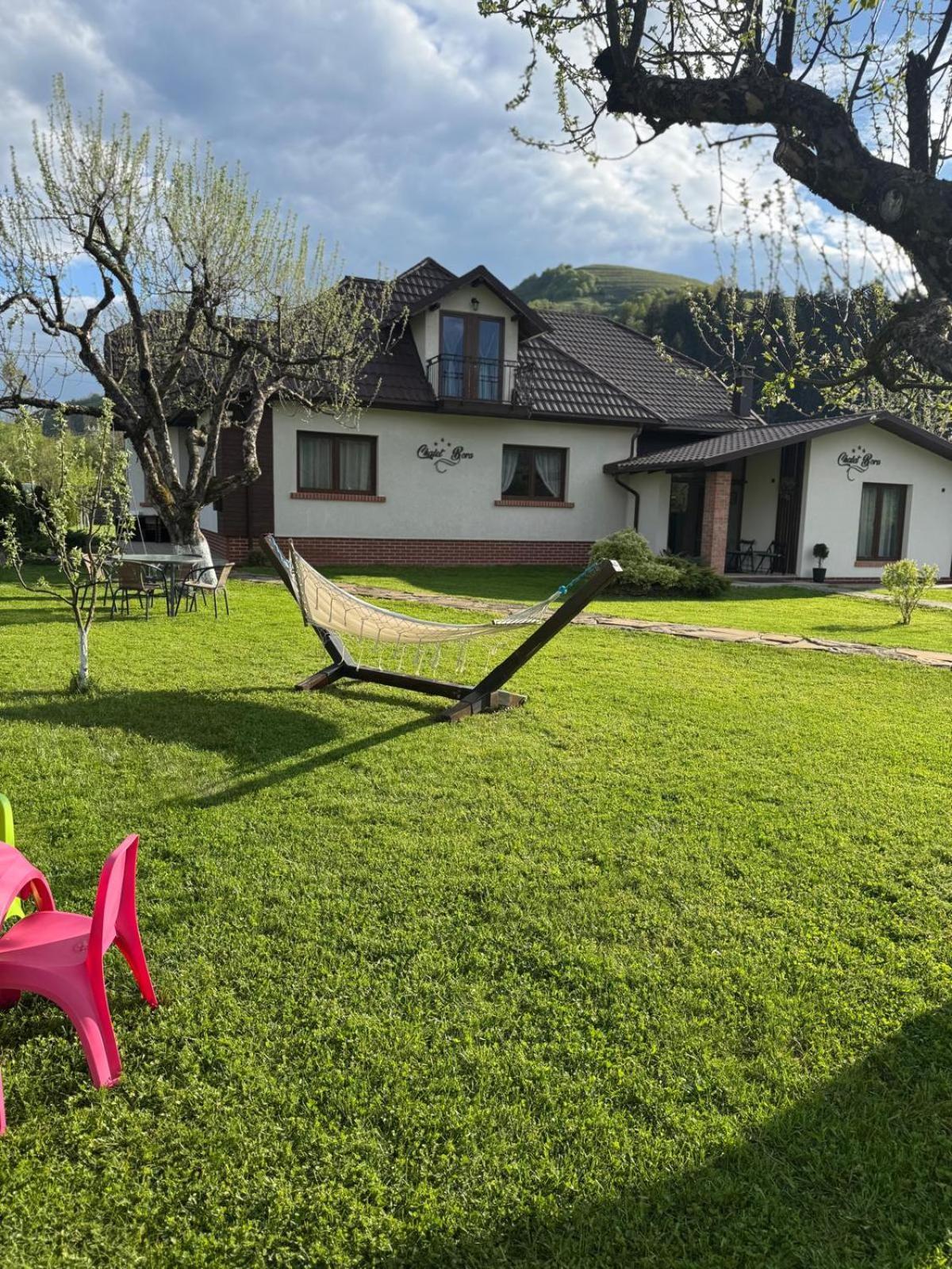 Chalet Bora Viseu de Jos Exteriör bild