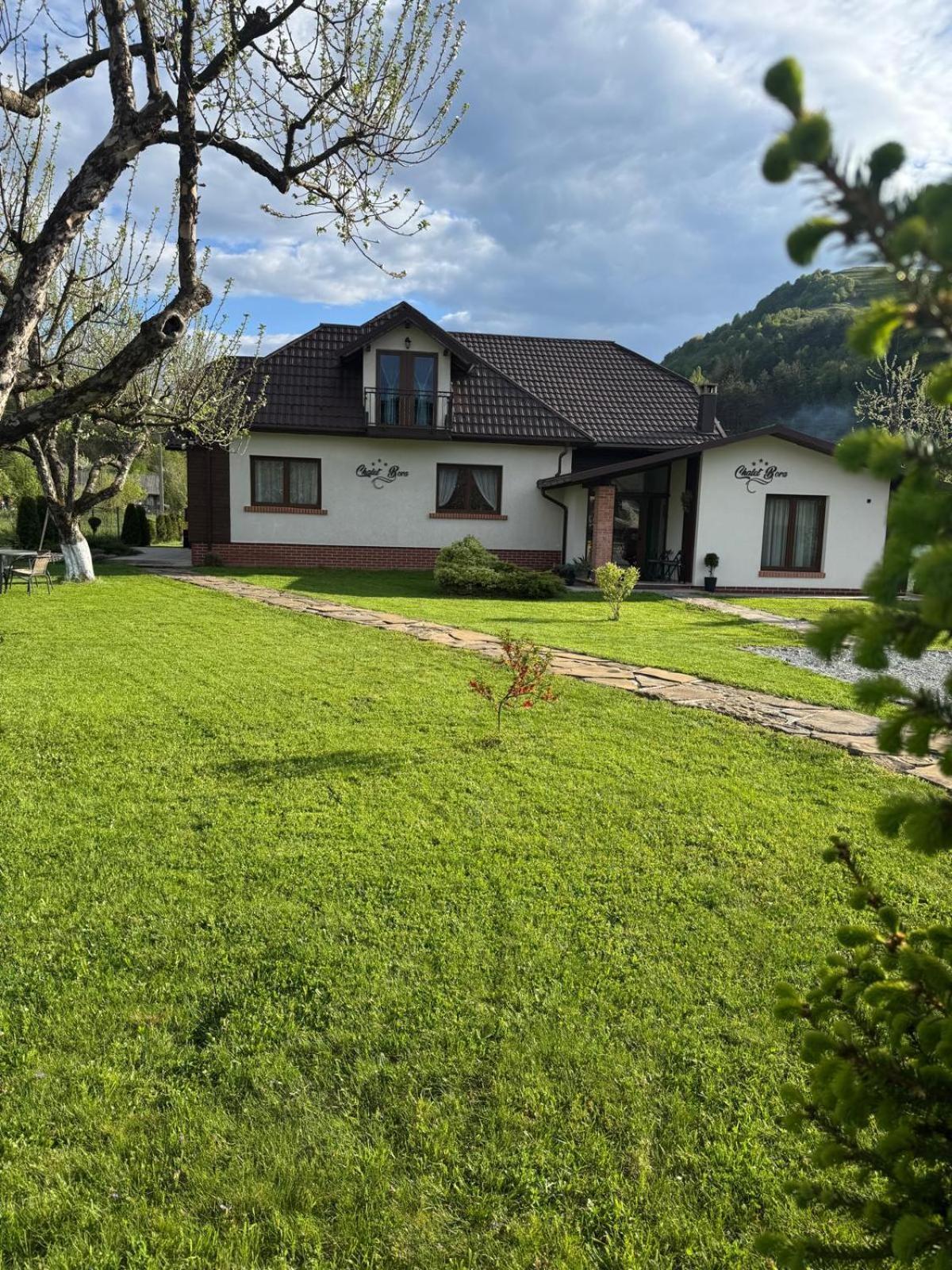 Chalet Bora Viseu de Jos Exteriör bild